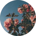 Emma deNijs Avatar