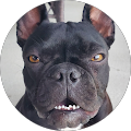 Ben Goss Avatar