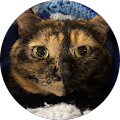 Destiny Mcevoy Avatar
